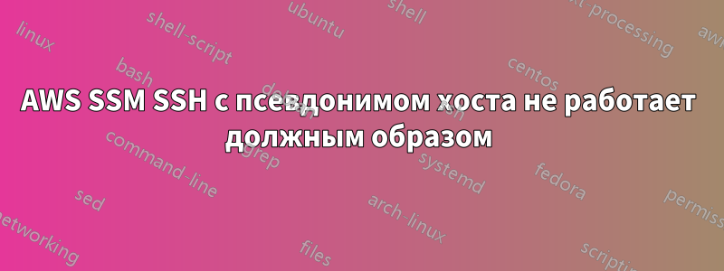 AWS SSM SSH с псевдонимом хоста не работает должным образом
