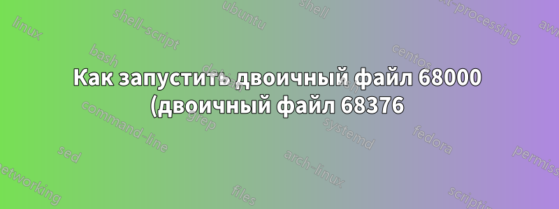 Как запустить двоичный файл 68000 (двоичный файл 68376) на современной версии встраиваемого Linux?