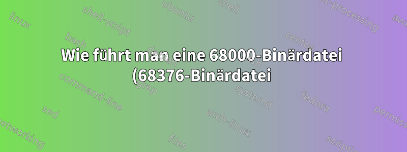 Wie führt man eine 68000-Binärdatei (68376-Binärdatei) auf einer modernen Version von Embedded Linux aus?