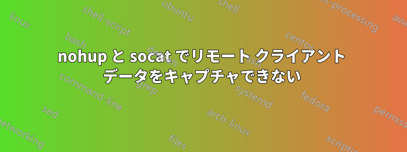 nohup と socat でリモート クライアント データをキャプチャできない
