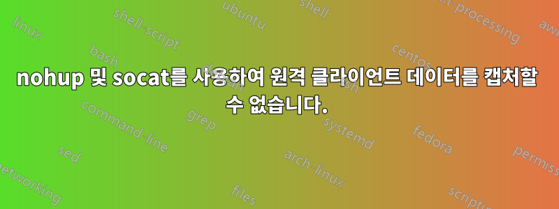nohup 및 socat를 사용하여 원격 클라이언트 데이터를 캡처할 수 없습니다.