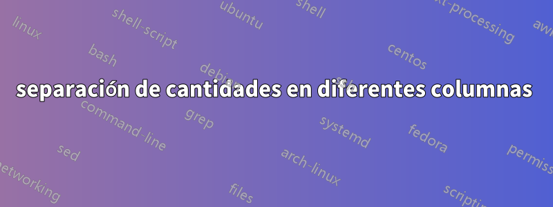 separación de cantidades en diferentes columnas
