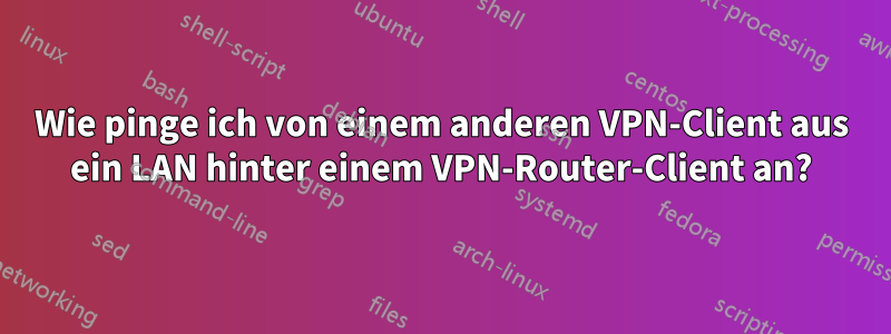 Wie pinge ich von einem anderen VPN-Client aus ein LAN hinter einem VPN-Router-Client an?