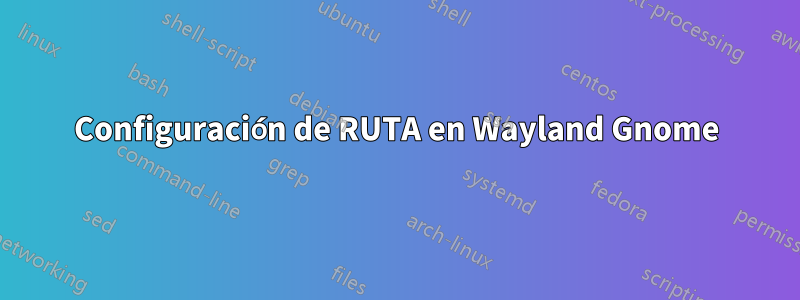 Configuración de RUTA en Wayland Gnome