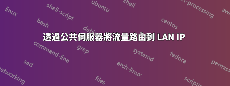 透過公共伺服器將流量路由到 LAN IP