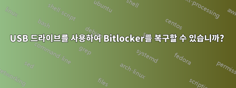 USB 드라이브를 사용하여 Bitlocker를 복구할 수 있습니까?