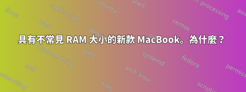 具有不常見 RAM 大小的新款 MacBook。為什麼？