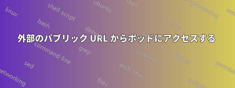 外部のパブリック URL からポッドにアクセスする