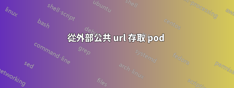 從外部公共 url 存取 pod