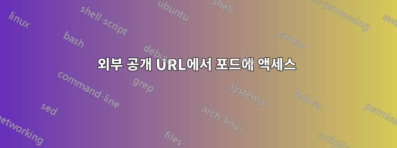 외부 공개 URL에서 포드에 액세스