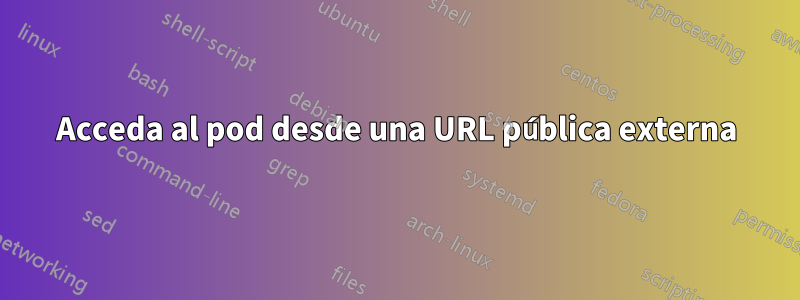 Acceda al pod desde una URL pública externa