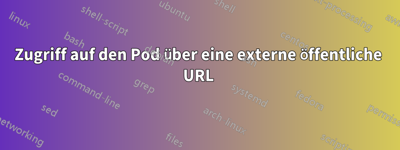 Zugriff auf den Pod über eine externe öffentliche URL
