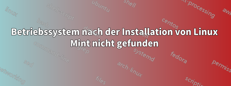 Betriebssystem nach der Installation von Linux Mint nicht gefunden