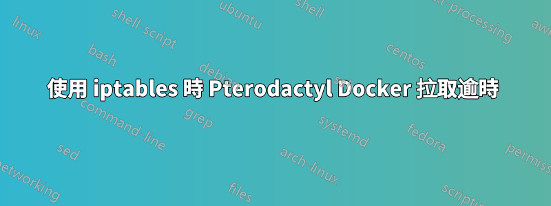 使用 iptables 時 Pterodactyl Docker 拉取逾時
