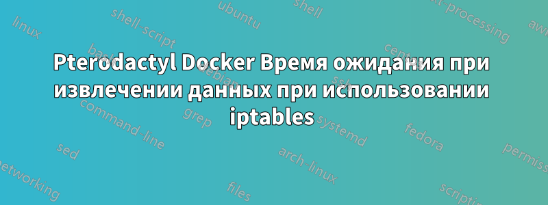 Pterodactyl Docker Время ожидания при извлечении данных при использовании iptables
