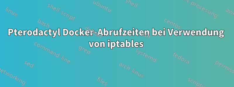 Pterodactyl Docker-Abrufzeiten bei Verwendung von iptables