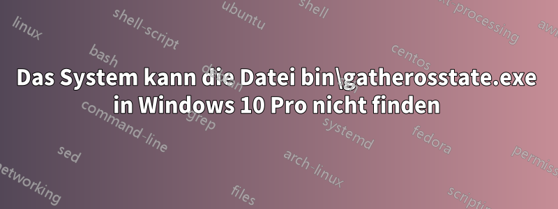 Das System kann die Datei bin\gatherosstate.exe in Windows 10 Pro nicht finden