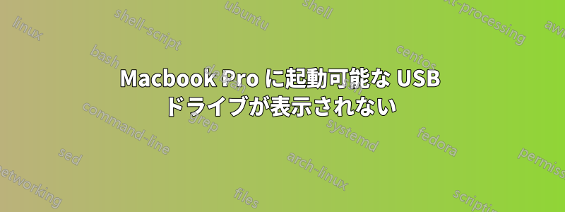 Macbook Pro に起動可能な USB ドライブが表示されない