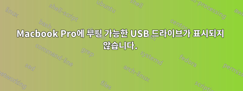 Macbook Pro에 부팅 가능한 USB 드라이브가 표시되지 않습니다.