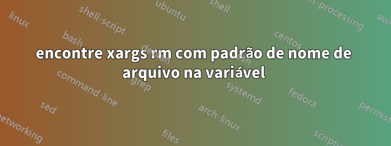 encontre xargs rm com padrão de nome de arquivo na variável