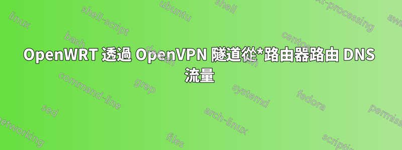 OpenWRT 透過 OpenVPN 隧道從*路由器路由 DNS 流量