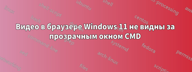 Видео в браузере Windows 11 не видны за прозрачным окном CMD