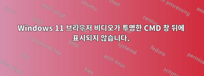 Windows 11 브라우저 비디오가 투명한 CMD 창 뒤에 표시되지 않습니다.