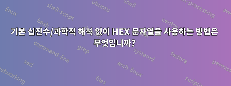 기본 십진수/과학적 해석 없이 HEX 문자열을 사용하는 방법은 무엇입니까?