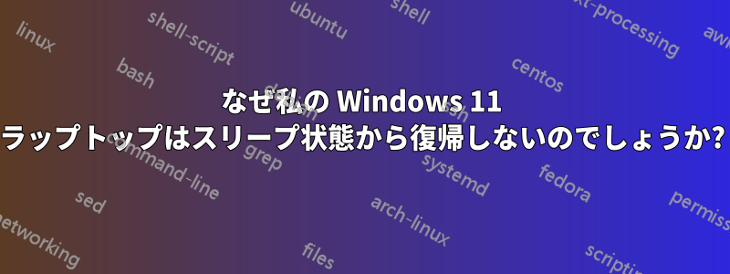 なぜ私の Windows 11 ラップトップはスリープ状態から復帰しないのでしょうか?