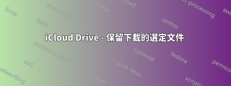 iCloud Drive - 保留下載的選定文件