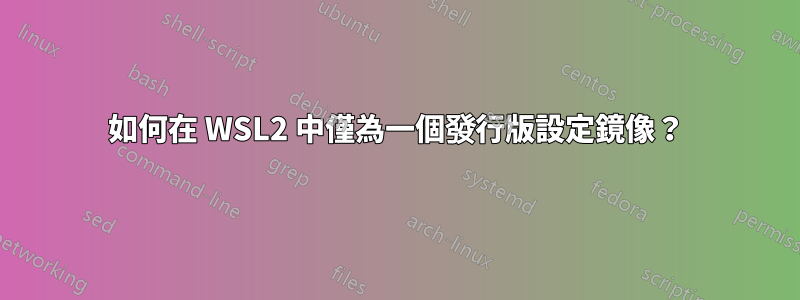 如何在 WSL2 中僅為一個發行版設定鏡像？