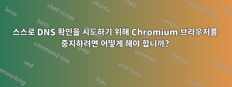 스스로 DNS 확인을 시도하기 위해 Chromium 브라우저를 중지하려면 어떻게 해야 합니까?