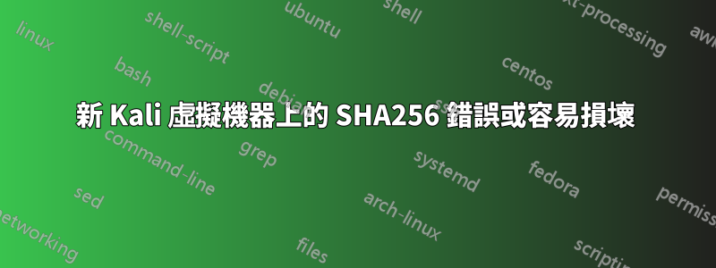 新 Kali 虛擬機器上的 SHA256 錯誤或容易損壞