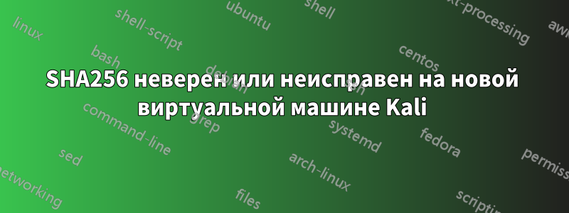 SHA256 неверен или неисправен на новой виртуальной машине Kali