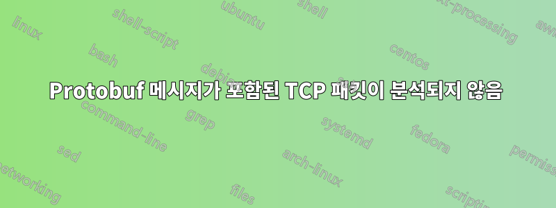 Protobuf 메시지가 포함된 TCP 패킷이 분석되지 않음