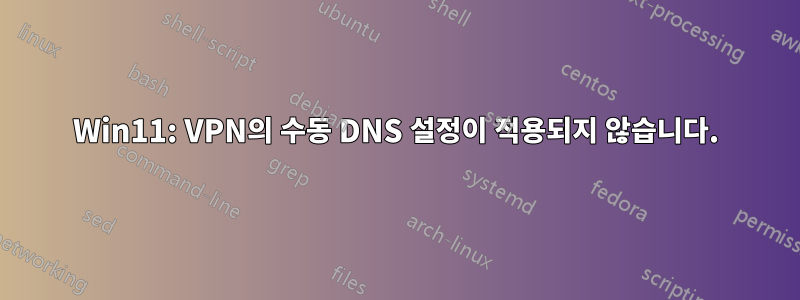 Win11: VPN의 수동 DNS 설정이 적용되지 않습니다.