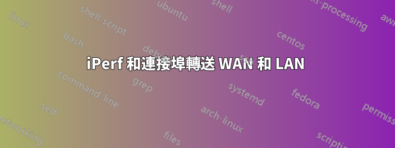 iPerf 和連接埠轉送 WAN 和 LAN