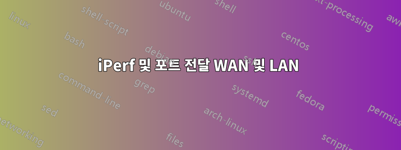 iPerf 및 포트 전달 WAN 및 LAN