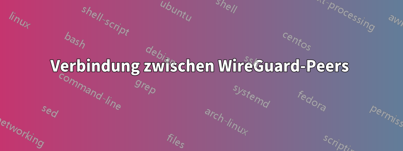 Verbindung zwischen WireGuard-Peers