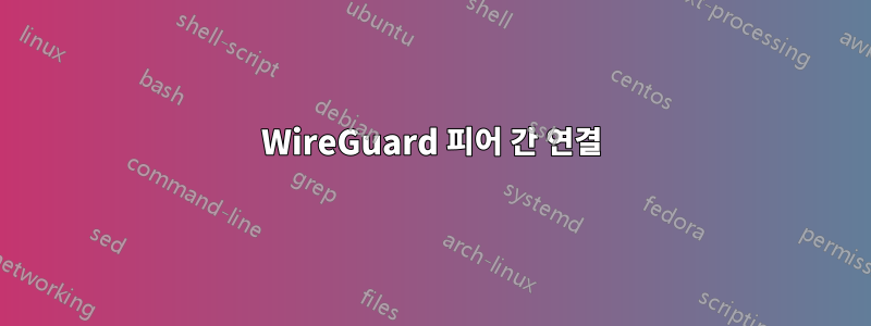 WireGuard 피어 간 연결