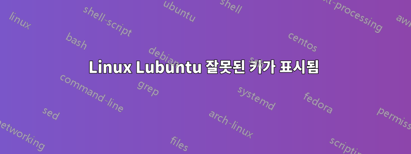 Linux Lubuntu 잘못된 키가 표시됨