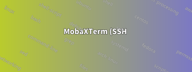 MobaXTerm (SSH)-Registerkarte gegen Änderungen/Bearbeiten sperren?