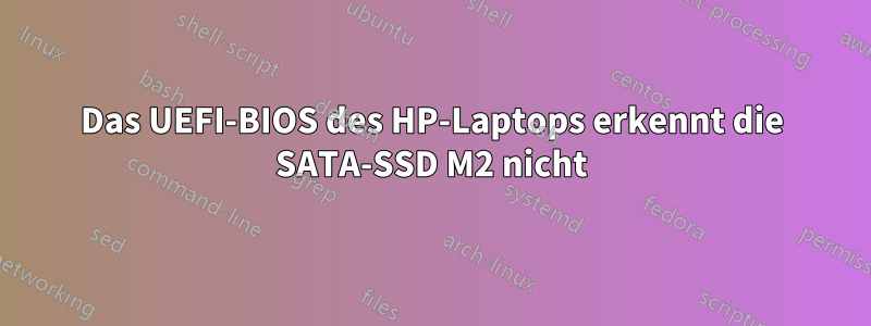 Das UEFI-BIOS des HP-Laptops erkennt die SATA-SSD M2 nicht