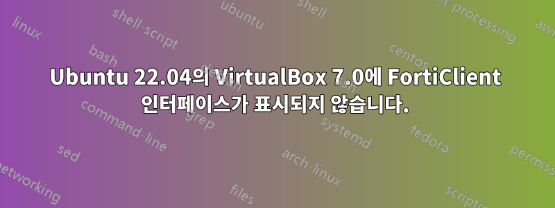 Ubuntu 22.04의 VirtualBox 7.0에 FortiClient 인터페이스가 표시되지 않습니다.