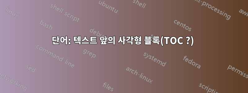 단어: 텍스트 앞의 사각형 블록(TOC ?)