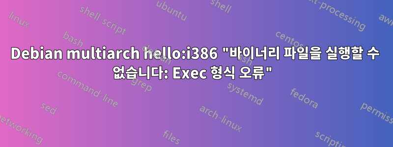 Debian multiarch hello:i386 "바이너리 파일을 실행할 수 없습니다: Exec 형식 오류"