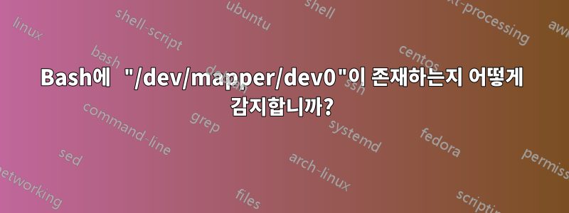 Bash에 "/dev/mapper/dev0"이 존재하는지 어떻게 감지합니까?