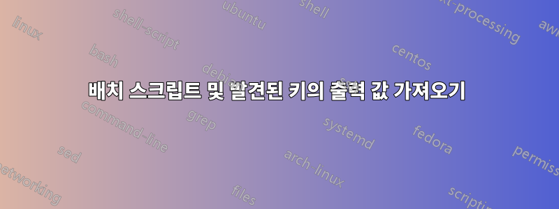 배치 스크립트 및 발견된 키의 출력 값 가져오기