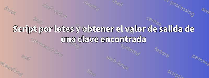 Script por lotes y obtener el valor de salida de una clave encontrada