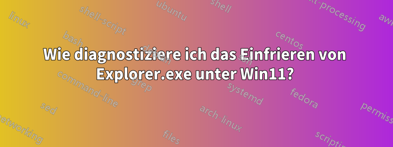 Wie diagnostiziere ich das Einfrieren von Explorer.exe unter Win11?